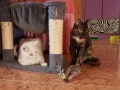 Cloe (links) und Clarisa (rechts)